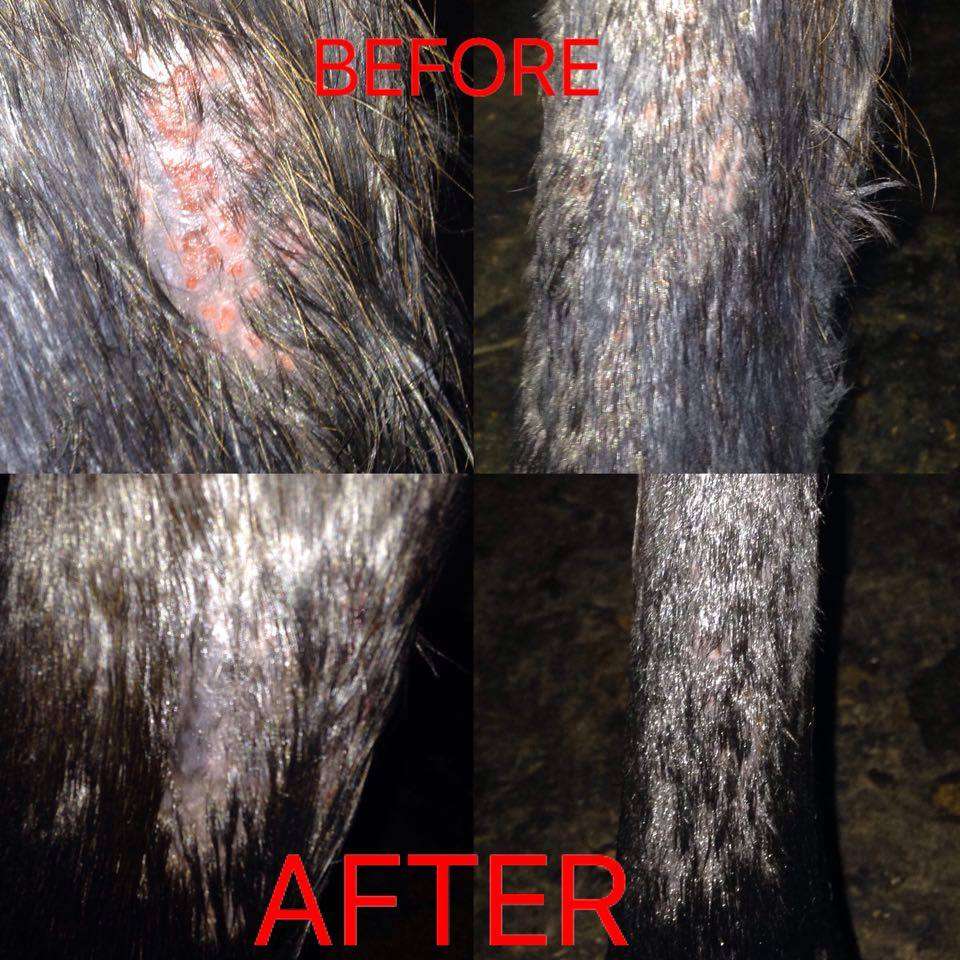 Before and After Skin Condition