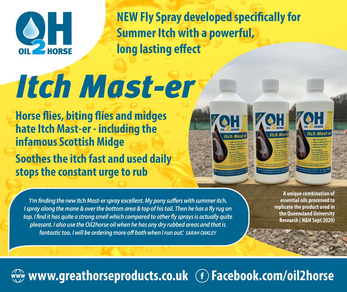 Oil 2 Horse Itch Master Poster