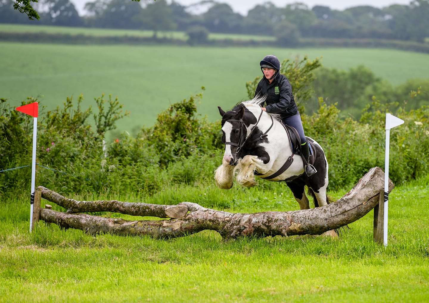 Piebald Horse in Hunter Trial