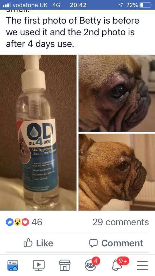 Customer Review - Oil 4 Dogs Skin Conditioner